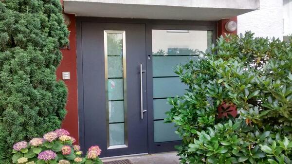 Moderne Haustür mit Glaselementen und Edelstahlgriff, umgeben von grünen Pflanzen.