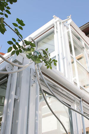 Moderne Glasfassade eines Wintergartens mit weißen Aluminiumprofilen und Kletterpflanze.